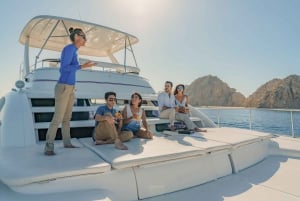 Cabo San Lucas: Experiencia de Avistamiento de Ballenas en Catamarán de Lujo