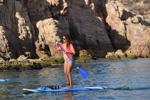 Cabo san Lucas: Paddle Boarding and Snorkeling with Picnic