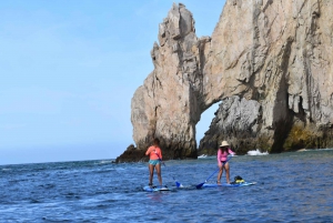 Cabo san Lucas: Paddle Boarding or Kayak and Snorkeling