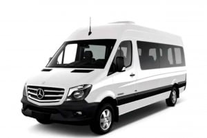 Cabo San Lucas: Premium Airport Transfer