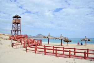 Cabo San Lucas: Tour Privado en Jeep a Cabo Pulmo y Snorkel