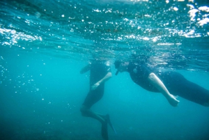 Cabo San Lucas: Tour Privado en Jeep a Cabo Pulmo y Snorkel