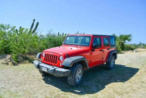 Cabo San Lucas: Tour Privado en Jeep a Cabo Pulmo y Snorkel