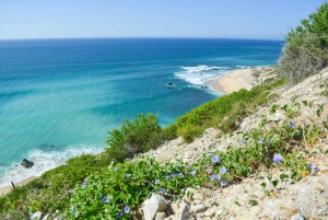 Cabo San Lucas: Tour Privado en Jeep a Cabo Pulmo y Snorkel