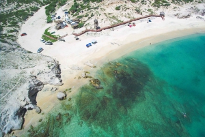 Cabo San Lucas: Tour Privado en Jeep a Cabo Pulmo y Snorkel