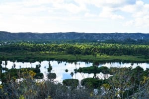 Cabo San Lucas: Private Jeep Tour to Santiago