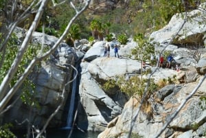 Cabo San Lucas: Private Jeep Tour to Santiago