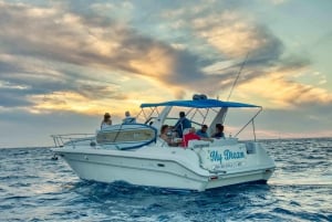 Cabo San Lucas Private Yacht 1 Hour Express Highlight Cruise