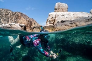 Cabo San Lucas: Experiencia de snorkel en los arrecifes