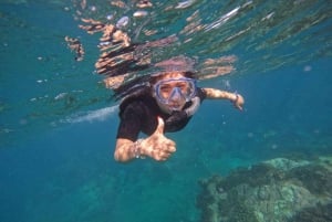 Cabo San Lucas: Experiencia de snorkel en los arrecifes