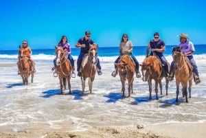 Cabo San Lucas: Paseos panorámicos a caballo por el Corredor