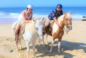 Cabo San Lucas: Paseos panorámicos a caballo por el Corredor