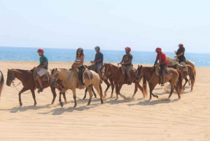 Cabo San Lucas: Scenic Horseback Riding along the Corridor