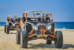 Cabo San Lucas: Side By Side - Aventura Maverick Turbo