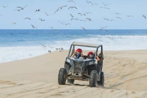 Cabo San Lucas: Aventura Deportiva Side By Side