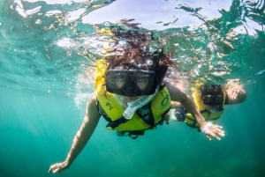Cabo San Lucas: Snorkel, Lunch and Sail Experience