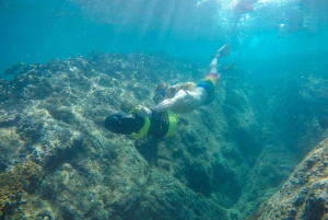 Cabo San Lucas: Snorkel, Paddle-board, and/or Kayak Tour