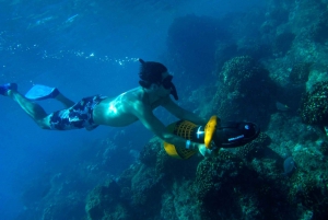 Cabo San Lucas: Snorkel, Paddle-board, and/or Kayak Tour