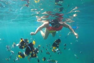 Cabo San Lucas: Excursión de snorkel con barra libre y aperitivos