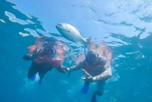 Cabo San Lucas: Crucero de snorkel y vela con almuerzo