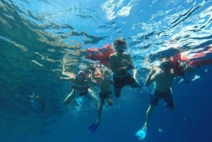 Cabo San Lucas: Crucero de snorkel y vela con almuerzo