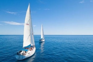 Cabo San Lucas: Crucero de snorkel y vela con almuerzo