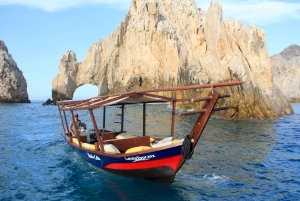 Cabo San Lucas: Snorkeling and Whale Watching Private Dhow