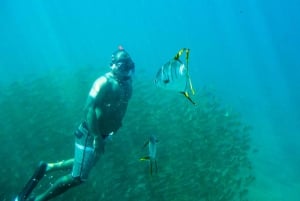 Cabo San Lucas: Esnórquel en la Playa de los Enamorados