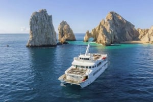 Cabo San Lucas: Crucero de Snorkel con Comida y Barra Libre