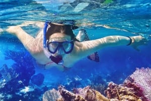 Cabo San Lucas: Snorkeling Cruise with Lunch and Open Bar