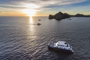 Cabo San Lucas: crucero al atardecer con cena