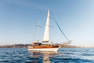 Cabo San Lucas: Sunset Yacht Cruise w/Chef Dinner & Open Bar