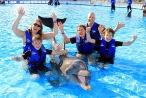 Cabo San Lucas: Excursión a nado con interacción con delfines