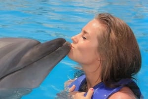 Cabo San Lucas: Swim Excursion with Dolphin Interaction
