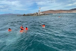 Cabo San Lucas Tour To Balandra Beach