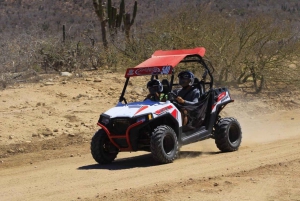 Cabo San Lucas: Recorrido en UTV Razor por el Desierto y la Playa de Migriño