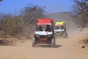 Cabo San Lucas: Recorrido en UTV Razor por el Desierto y la Playa de Migriño