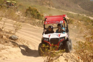 Cabo San Lucas: Recorrido en UTV Razor por el Desierto y la Playa de Migriño