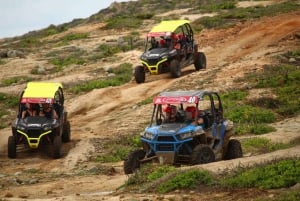 Cabo San Lucas: Recorrido en UTV Razor por el Desierto y la Playa de Migriño