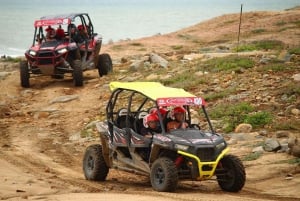 Cabo San Lucas: Recorrido en UTV Razor por el Desierto y la Playa de Migriño