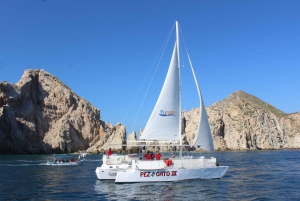 Cabo San Lucas: Whale Watching Experience on Catamaran
