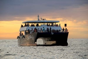 Cabo San Lucas: Excursión de Avistamiento de Ballenas con Buffet y Barra Libre