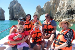 Cabo San Lucas: Excursión de avistamiento de ballenas