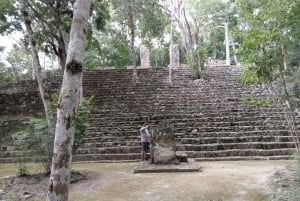 Ruinas de Calakmul: Tour guiado de un día desde Bacalar