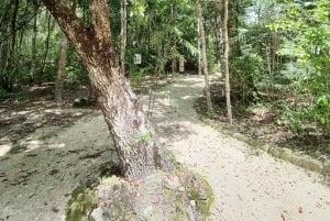 Ruinas de Calakmul y Parada en la Selva