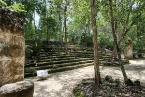 Ruinas de Calakmul y Parada en la Selva