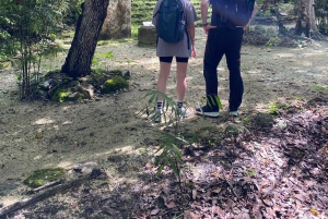 Ruinas de Calakmul y Parada en la Selva