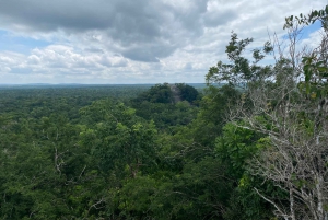 Ruinas de Calakmul y Parada en la Selva