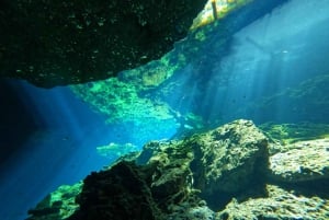 Cancun 2 Cenote Dives: The Pit + Nicte Ha - Certified Divers