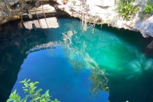 Cancun: 2 Cenotes, 1 Beach & 1 Lagoon